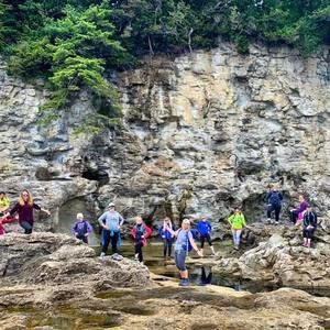 Meet your Posher, Fawn